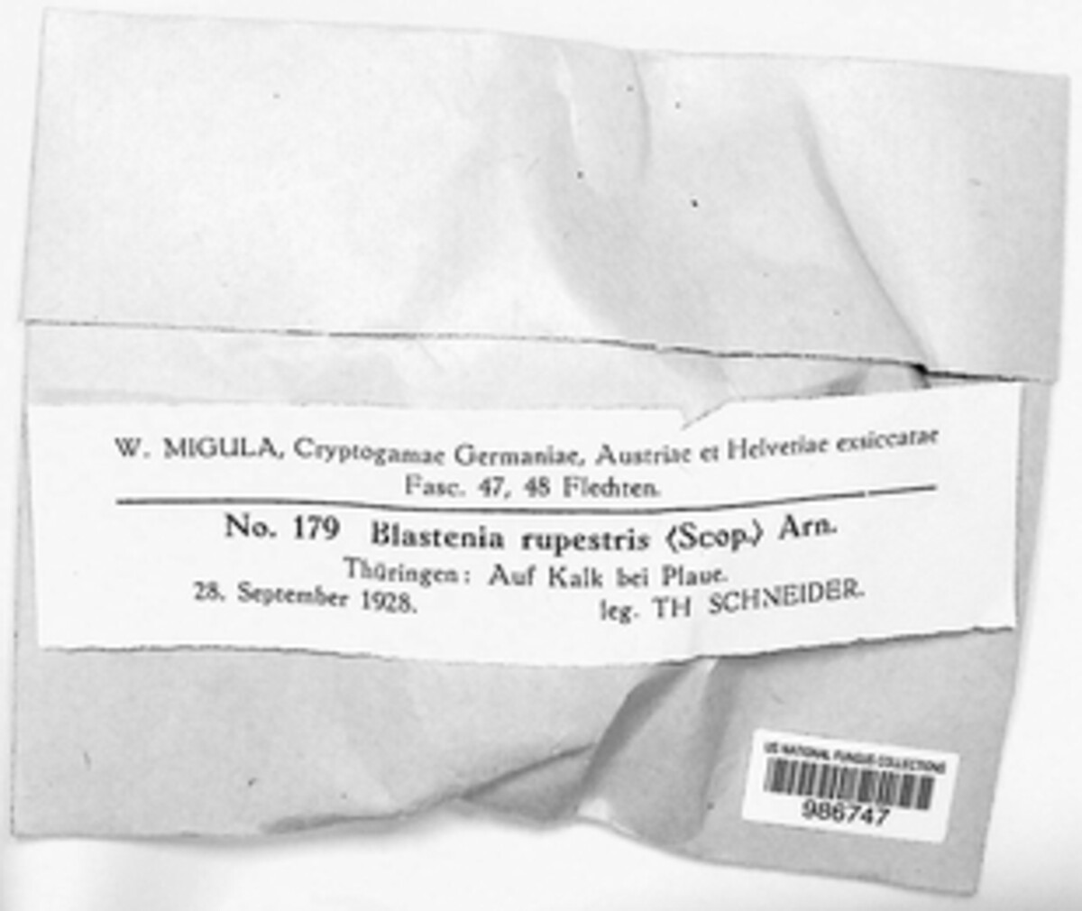 Blastenia image
